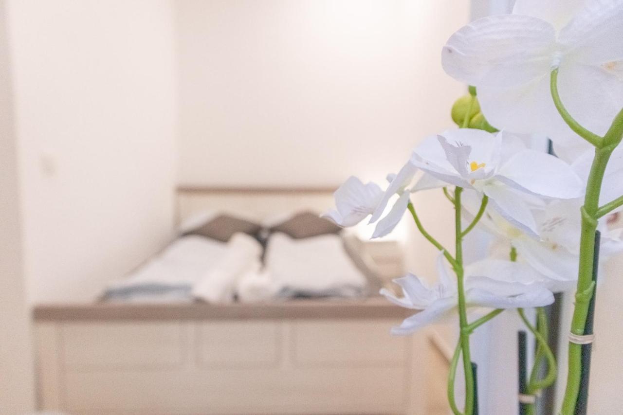 Homelike 2Br Apt Near U1 Reumannplatz - 9 Min To Center Viyana Dış mekan fotoğraf